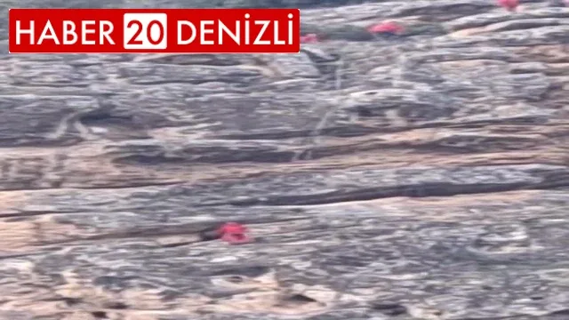 100 metre yükseklikte nefes kesen keçi kurtarma operasyonu