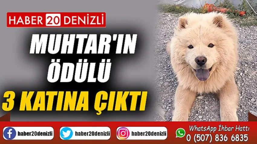 Muhtar'ın ödülü 3 katına çıktı