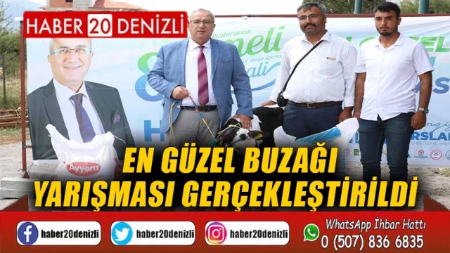 En Güzel Buzağı Yarışması Gerçekleştirildi