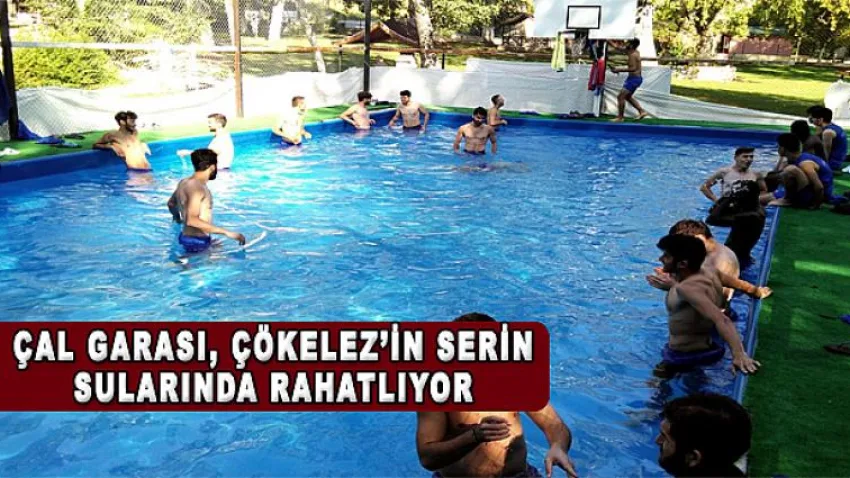 Çal Garası, Çökelez’in Serin Sularında Rahatlıyor