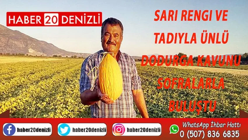 Sarı rengi ve tadıyla ünlü Dodurga kavunu sofralarla buluştu