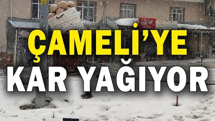 Çameli'ye Kar Yağıyor