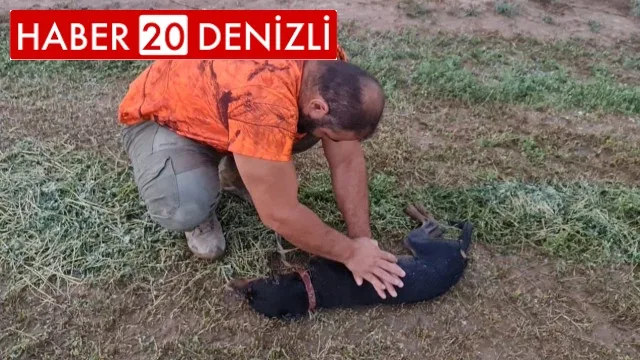 Avcı can dostu köpeğini kalp masajı yaparak hayata döndürdü