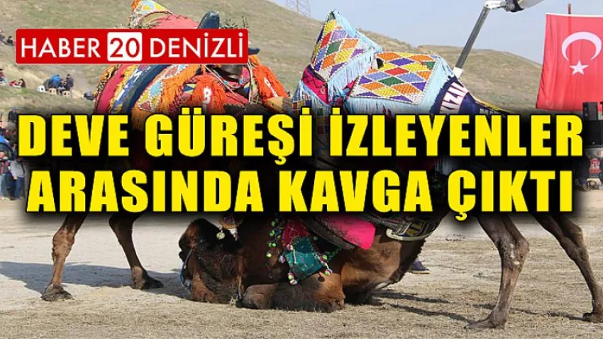 Deve Güreşi İzleyenler Arasında Kavga Çıktı
