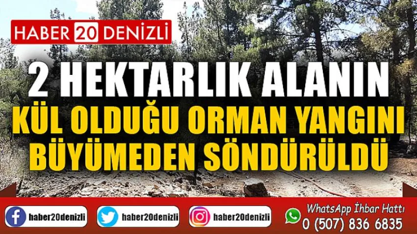 2 hektarlık alanın kül olduğu orman yangını büyümeden söndürüldü