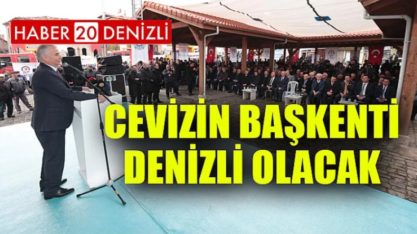 Cevizin başkenti Denizli olacak