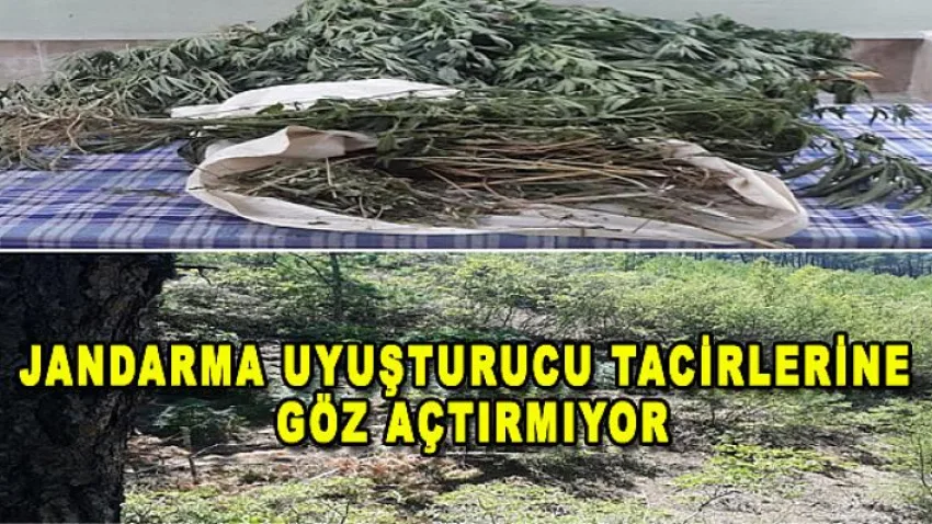 Jandarma Uyuşturucu Tacirlerine Göz Açtırmıyor