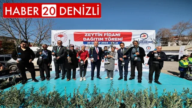 Denizli’de 14 ilçede 240 bin zeytin fidanı toprakla buluşacak