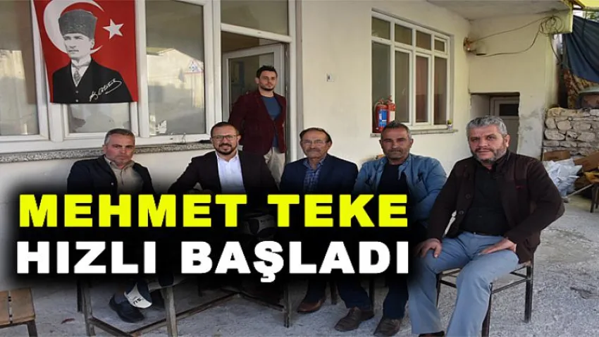 Mehmet Teke, Hızlı Başladı