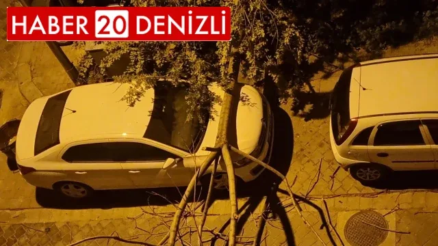 Denizli’de yağış ve fırtına yaşamı olumsuz etkiledi