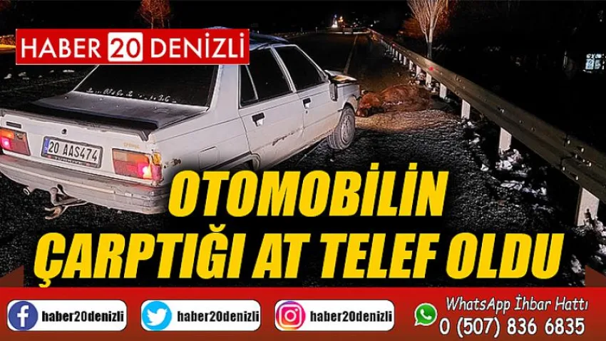 Otomobilin çarptığı at telef oldu