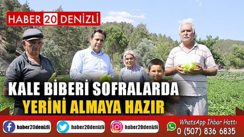 Kale Biberi Sofralarda Yerini Almaya Hazır