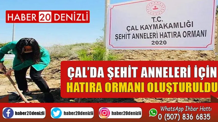 Çal’da şehit anneleri için hatıra ormanı oluşturuldu