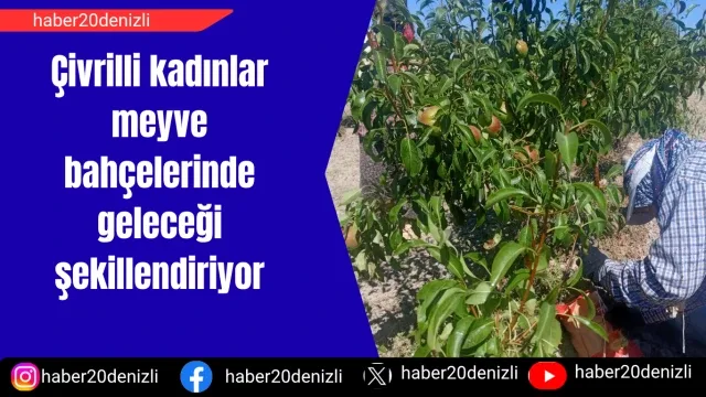 Çivrilli kadınlar meyve bahçelerinde geleceği şekillendiriyor