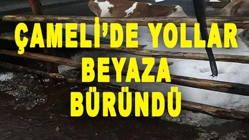 Çameli'de Yollar Beyaza Büründü