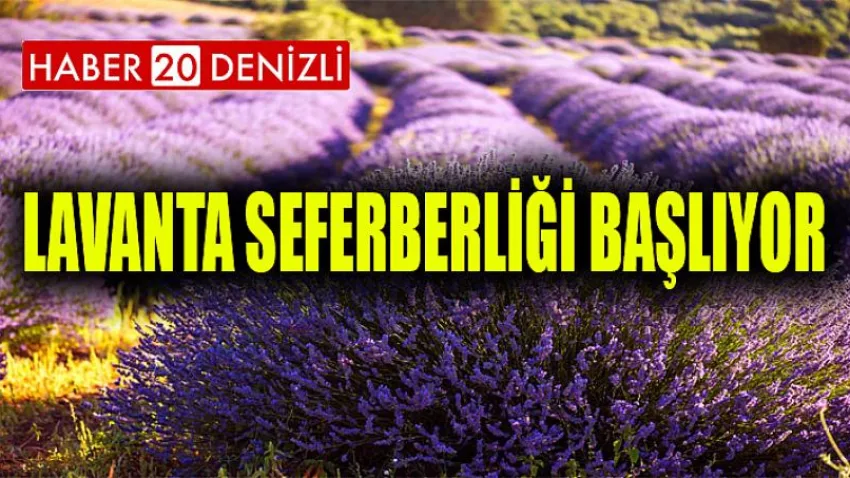 Lavanta Seferberliği Başlıyor