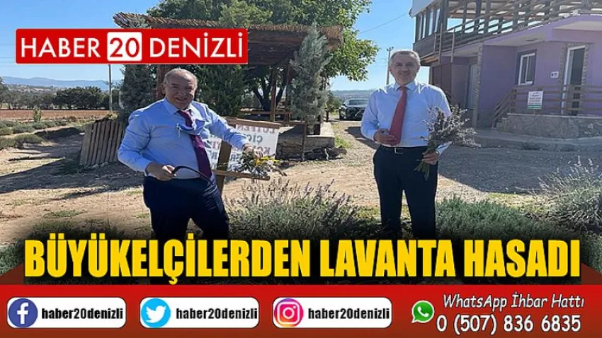Büyükelçilerden lavanta hasadı