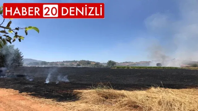 Anızda başlayan yangın ekili arazilere sıçradı
