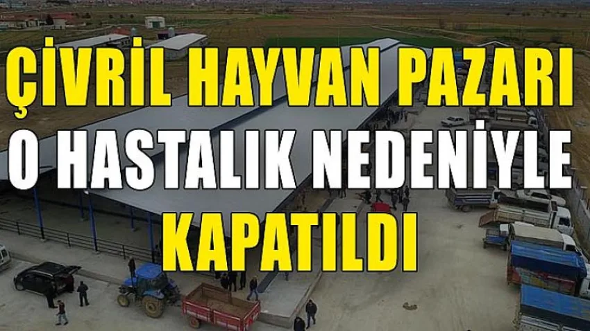 Çivril Hayvan Pazarı O Hastalık Nedeniyle Kapatıldı