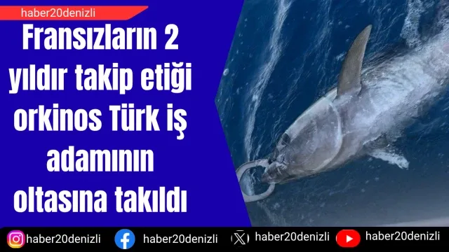 Fransızların 2 yıldır takip etiği orkinos Türk iş adamının oltasına takıldı