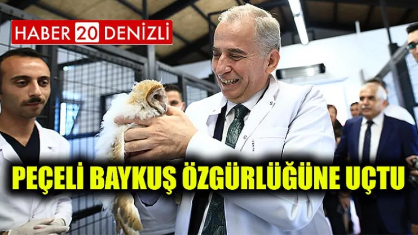 Peçeli baykuş özgürlüğüne uçtu