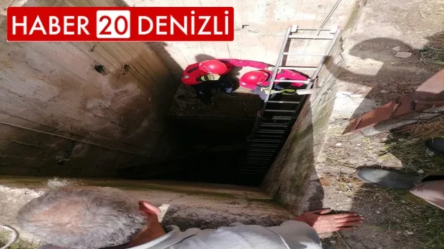 Kuyuya düşen 10 küçükbaş hayvan tek tek kurtarıldı