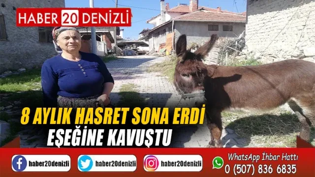 8 Aylık Hasret Sona Erdi, Eşeğine Kavuştu