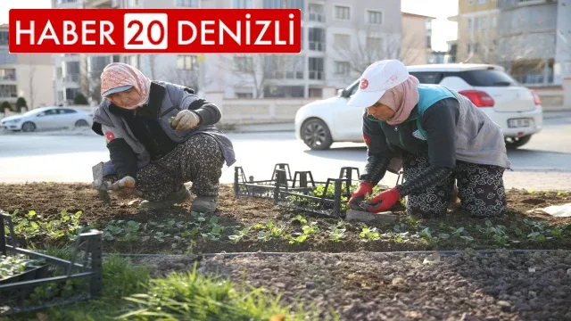 Merkezefendi mevsimlik çiçek dikimiyle renkleniyor