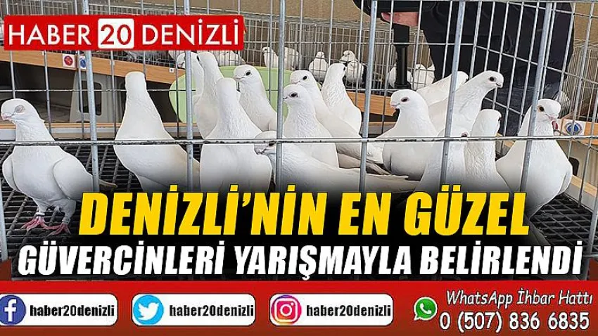 Denizli’nin en güzel güvercinleri yarışmayla belirlendi
