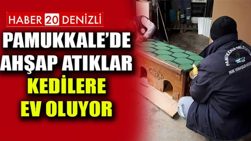 Pamukkale’de Ahşap Atıklar Kedilere Ev Oluyor