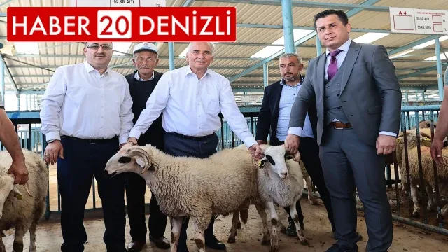 Denizlili yetiştiricilere 1000 adet damızlık koç ve teke dağıtılacak