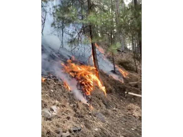 Denizli'deki orman yangınını söndürmek için vatandaşlar seferber oldu