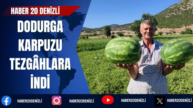 Denizli’nin lezzet simgesi Dodurga Karpuzu tezgâhlara indi