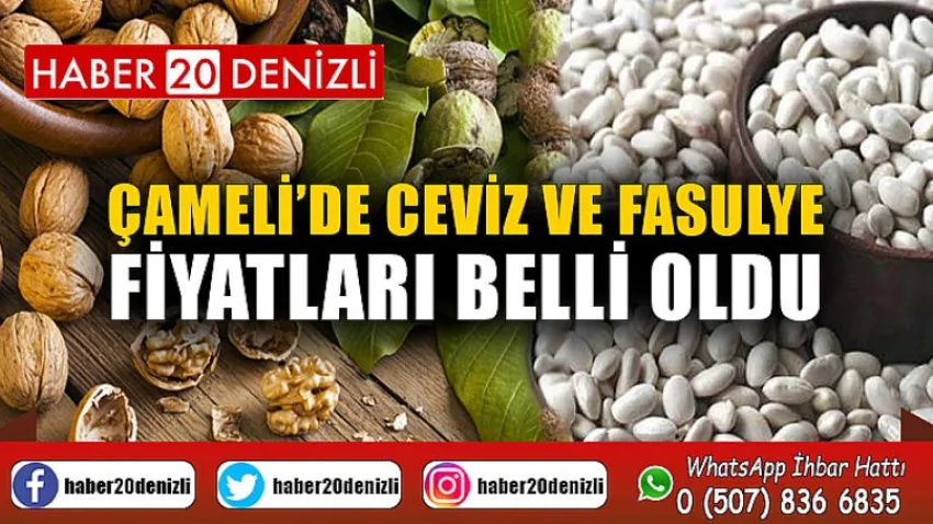 Çameli’de ceviz ve fasulye fiyatları belli oldu