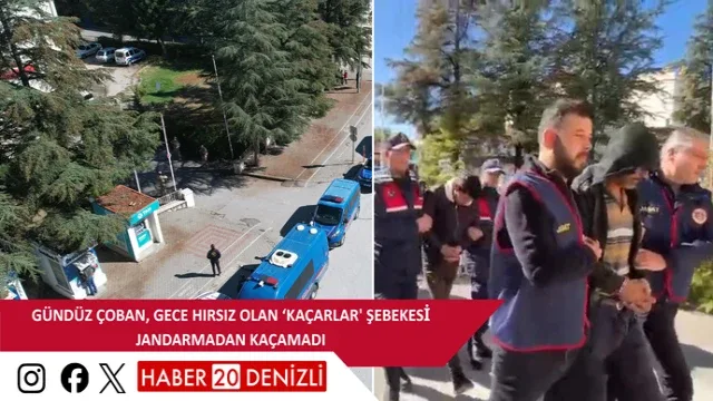 Gündüz çoban, gece hırsız olan ‘Kaçarlar' şebekesi jandarmadan kaçamadı