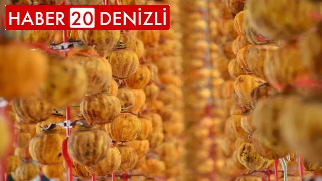 Kurutulunca değeri 10 kat artıyor