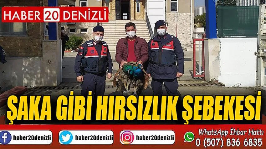 Şaka gibi hırsızlık şebekesi