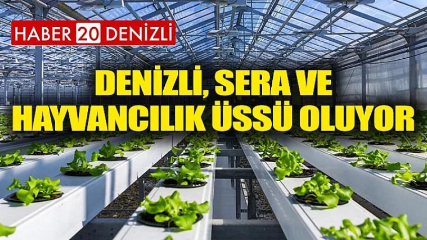Denizli, Sera ve Hayvancılık Üssü Oluyor