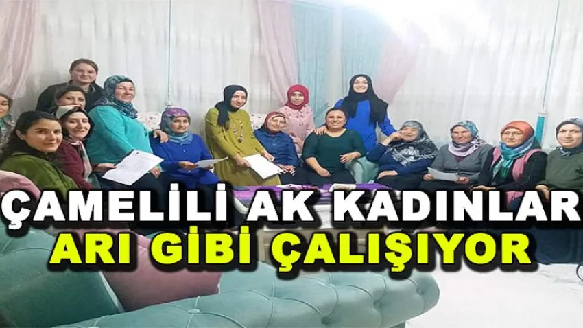 Çameli Ak Kadınlar Arı Gibi Çalışıyor