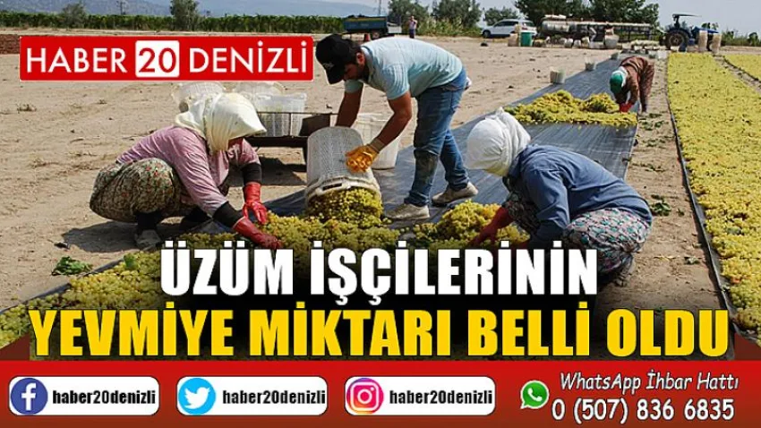 Üzüm işçilerinin yevmiye miktarı belli oldu