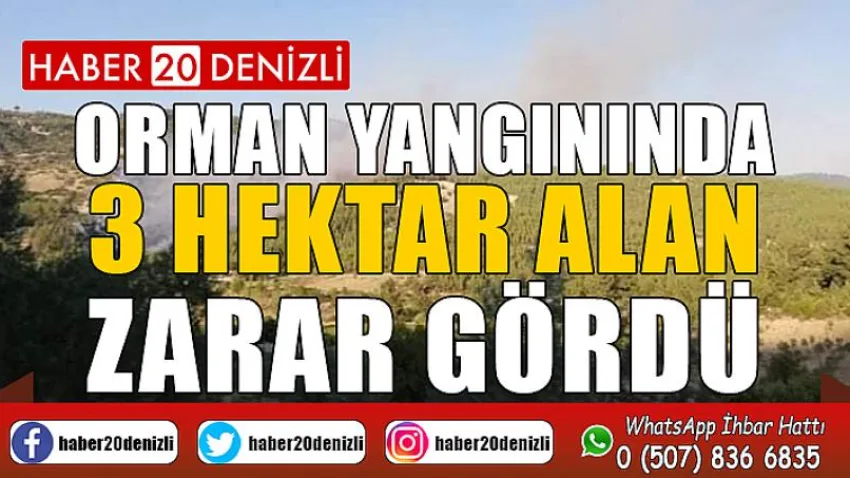 Denizli’de orman yangınında 3 hektar alan zarar gördü