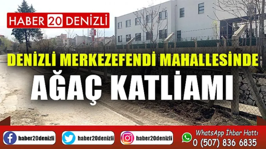 Denizli Merkezefendi Mahallesinde Ağaç Katliamı
