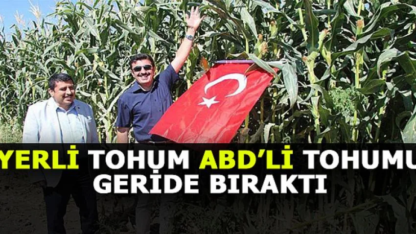 Yerli Tohum ABD'li Tohumu Geride Bıraktı