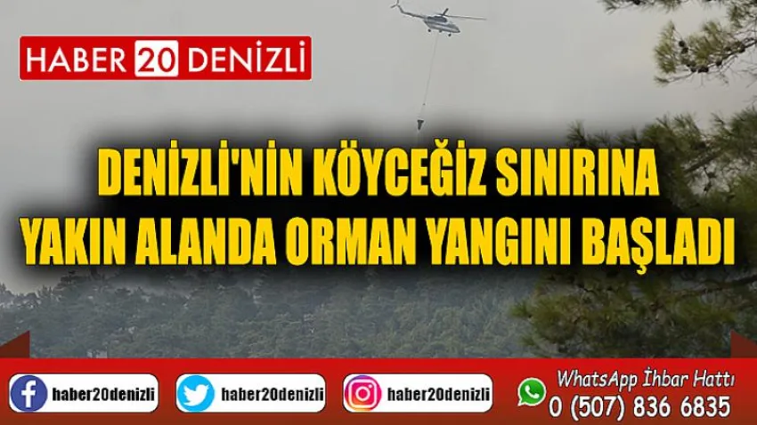 Denizli'nin Köyceğiz sınırına yakın alanda orman yangını başladı