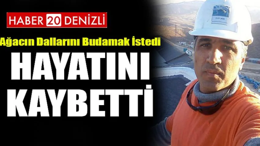 Ağacın Dallarını Budamak İstedi... Hayatını Kaybetti