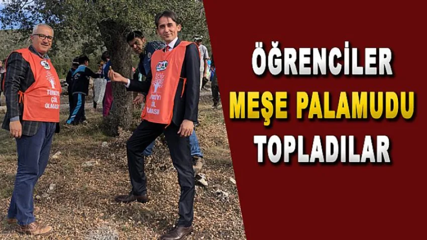 Meşe Palamudu Topladılar