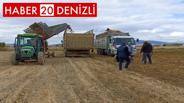 İş kazasında ölen güvenlikçinin tarlada kalan ürünü el birliğiyle hasat edildi