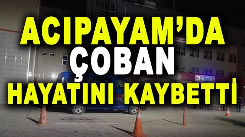 Acıpayam'da Çoban Hayatını Kaybetti