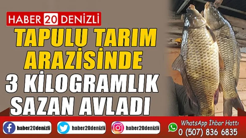Tapulu tarım arazisinde 3 kilogramlık sazan avladı