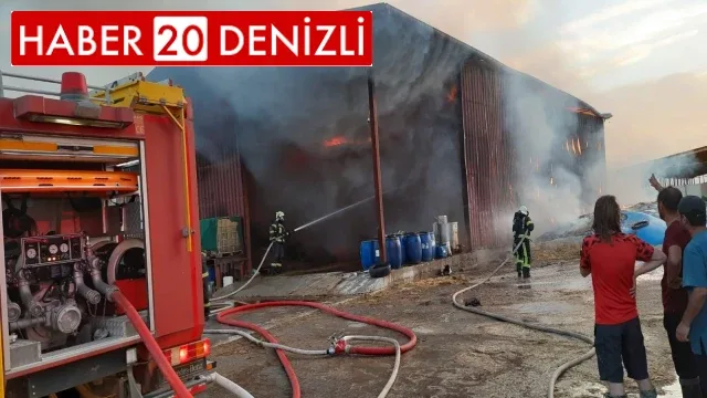 Besihanede çıkan yangın korkuya neden oldu